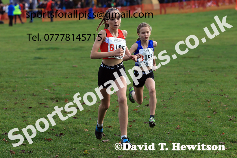 Girls under-13s, 2024 Northern Cross Country Relays, Graves Park, Sheffield.   Photo: David T. Hewitson/Sports for All Pics